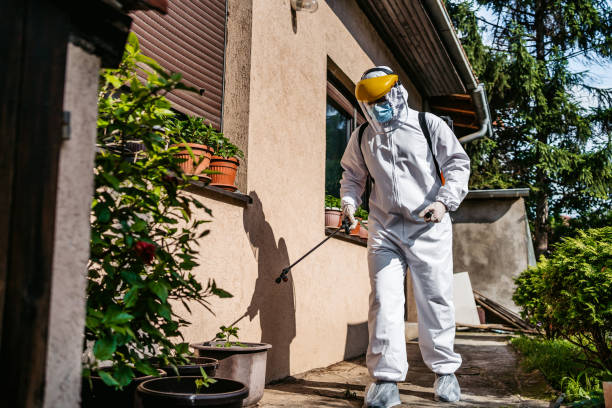 Best Residential Pest Control  in Davie, FL
