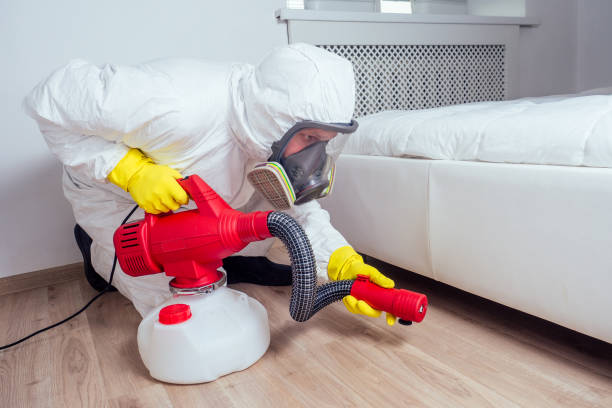 Best Cockroach Control Services  in Davie, FL