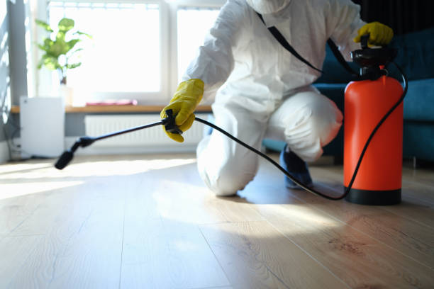 Best Pest Prevention Services  in Davie, FL