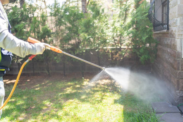 Best Cockroach Control Services  in Davie, FL