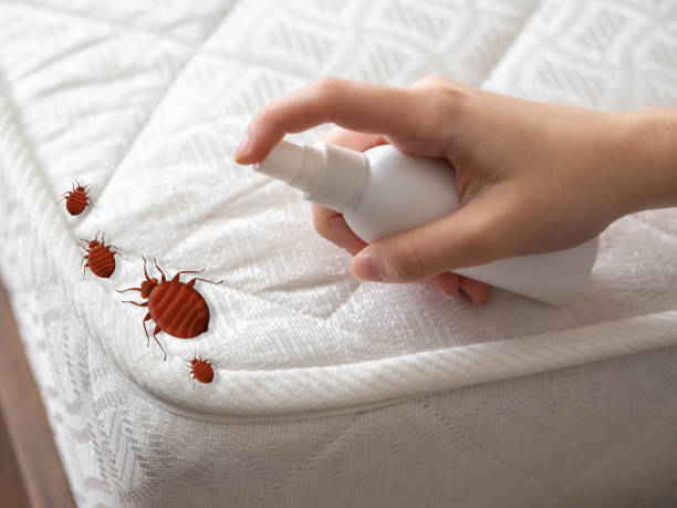 Best Best Pest Control Companies  in Davie, FL